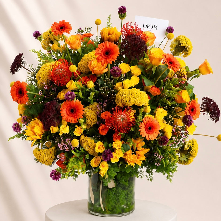 Royal Flame Blooms Main image