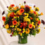 Royal Flame Blooms