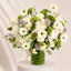 White Reverie Blooms
