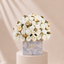 100 White Roses Box Diory